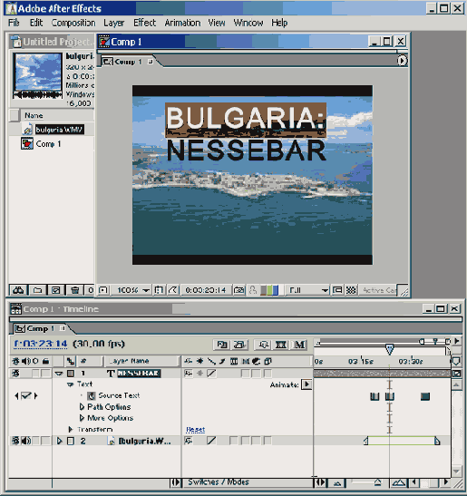   Animator