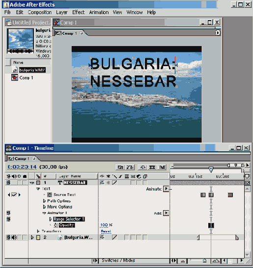   Animator