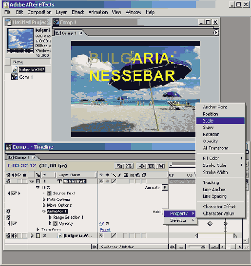   Animator