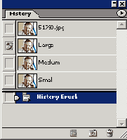 <title>(.*)</title>